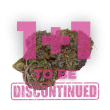 Purple Dosipunch Feminized by Growers Choice Seeds