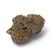 Purple Dosipunch Feminized by Growers Choice Seeds