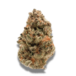 Rainbow Candy Feminized by Growers Choice Seeds