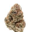 Silver Grape Sherbet Feminized by Growers Choice Seeds