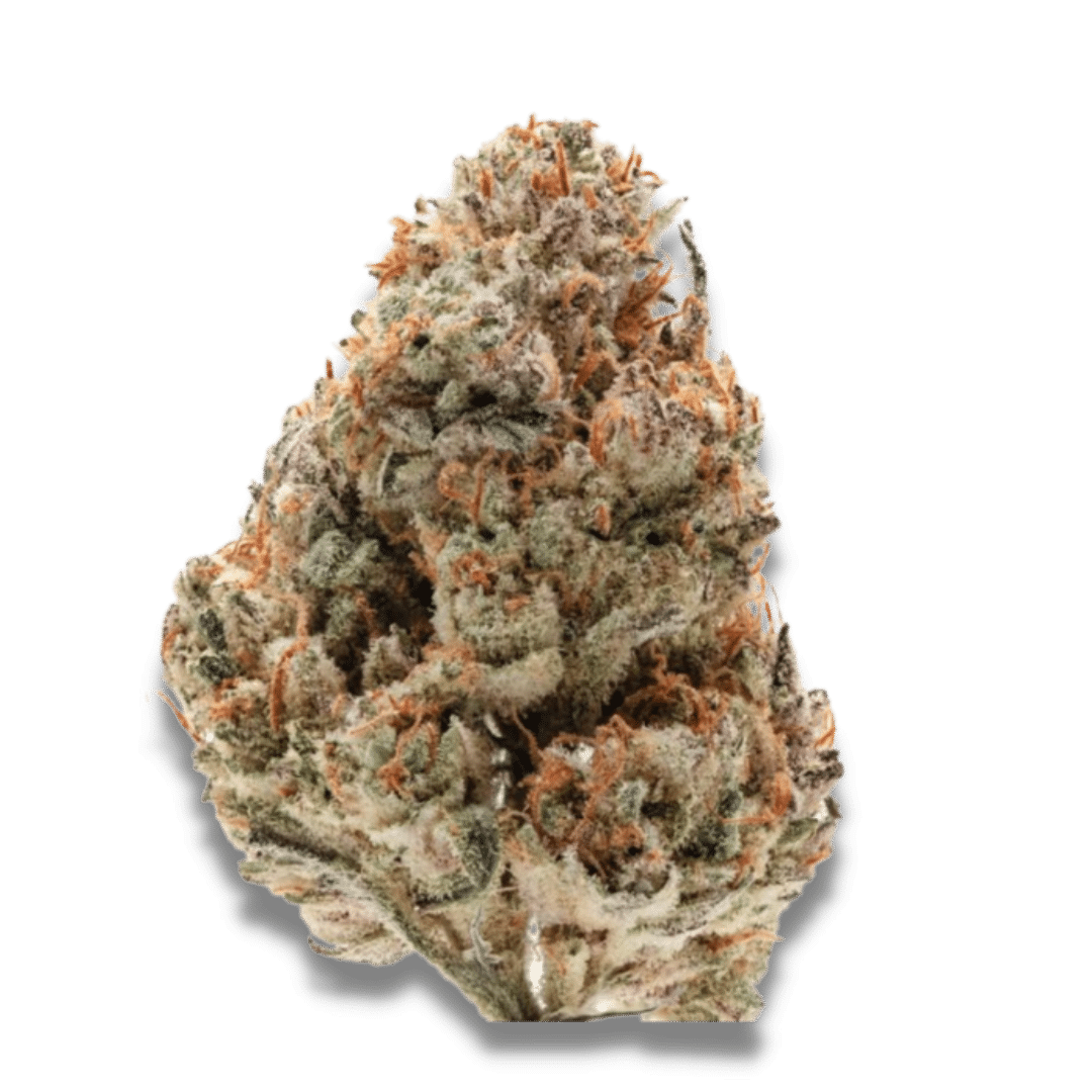 Silver Grape Sherbet Feminized by Growers Choice Seeds (4) Silver Grape Sherbet harvest detail