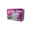 Silver Grape Sherbet Feminized by Growers Choice Seeds