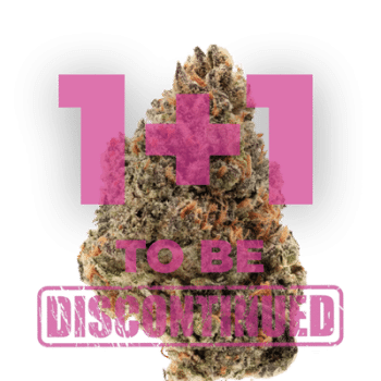 Tangie Punch grow shot