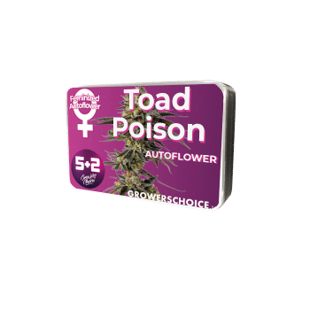 Toad Poison bud detail