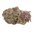 Ultra Violet GMO Feminized by Growers Choice Seeds