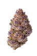 Unicorn Wagyu Auto by Growers Choice Seeds (2)