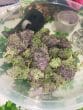 Watermelon Punch Feminized by Growers Choice Seeds