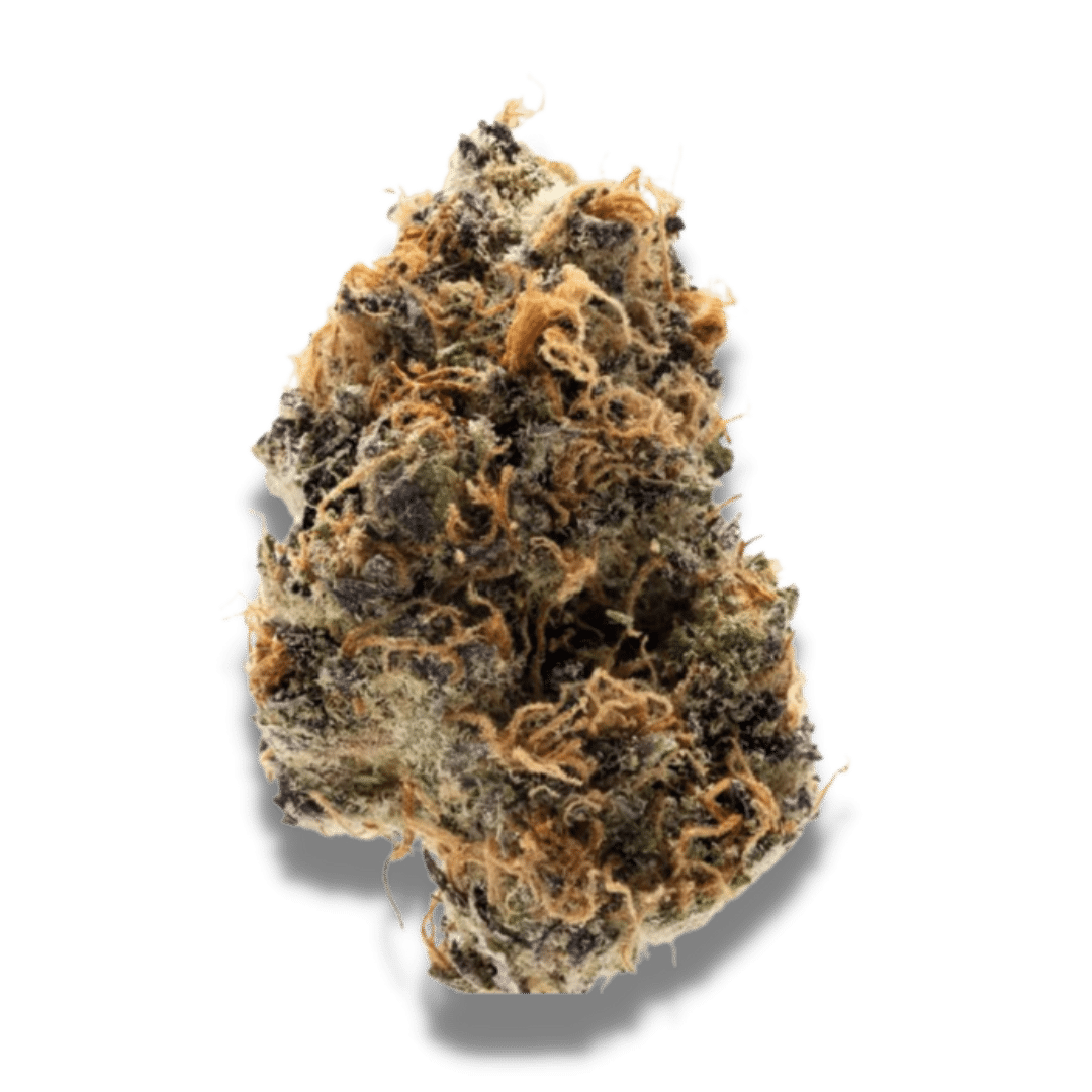 Watermelon Punch Feminized by Growers Choice Seeds (4) Watermelon Punch harvest detail