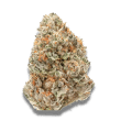 Watermelon Wedding Cake Feminized by Growers Choice Seeds