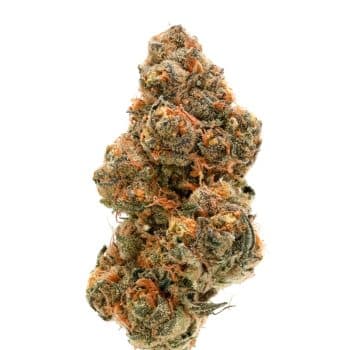 Wedding Cake x Frosty Gelato Double XL bud detail