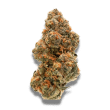 Wedding Cake x Frosty Gelato Feminized by Growers Choice Seeds