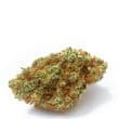 White Fire OG Feminized by Growers Choice Seeds (2)