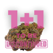 WiFi Punch Feminized by Growers Choice Seeds