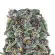 Zkittlez Feminized by Growers Choice Seeds (2)