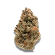 Zkittlez Feminized by Growers Choice Seeds (2)
