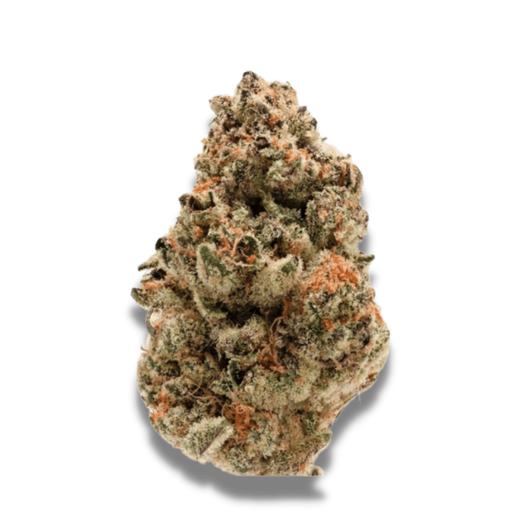 Zkittlez Feminized by Growers Choice Seeds (3) Zkittlez plant in flower